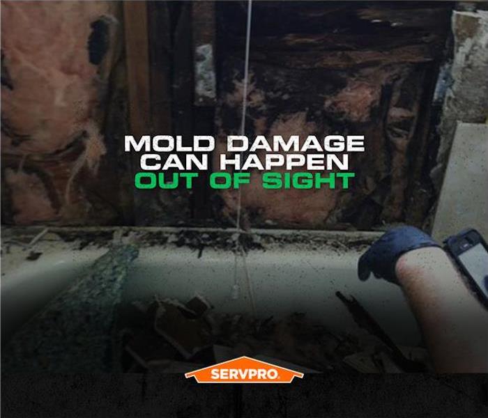 mold damage on the insulation behind a bathtub with the caption “mold damage can happen out of sight”