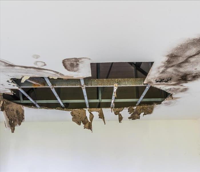 damaged ceiling with mold stains